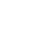 kidney 2